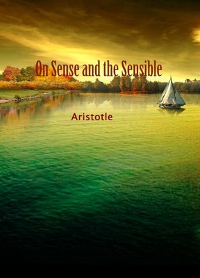 ON SENSE AND THE SENSIBLE