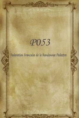 P053