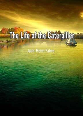 The Life of the Caterpillar