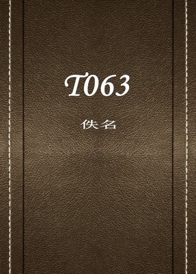 T063